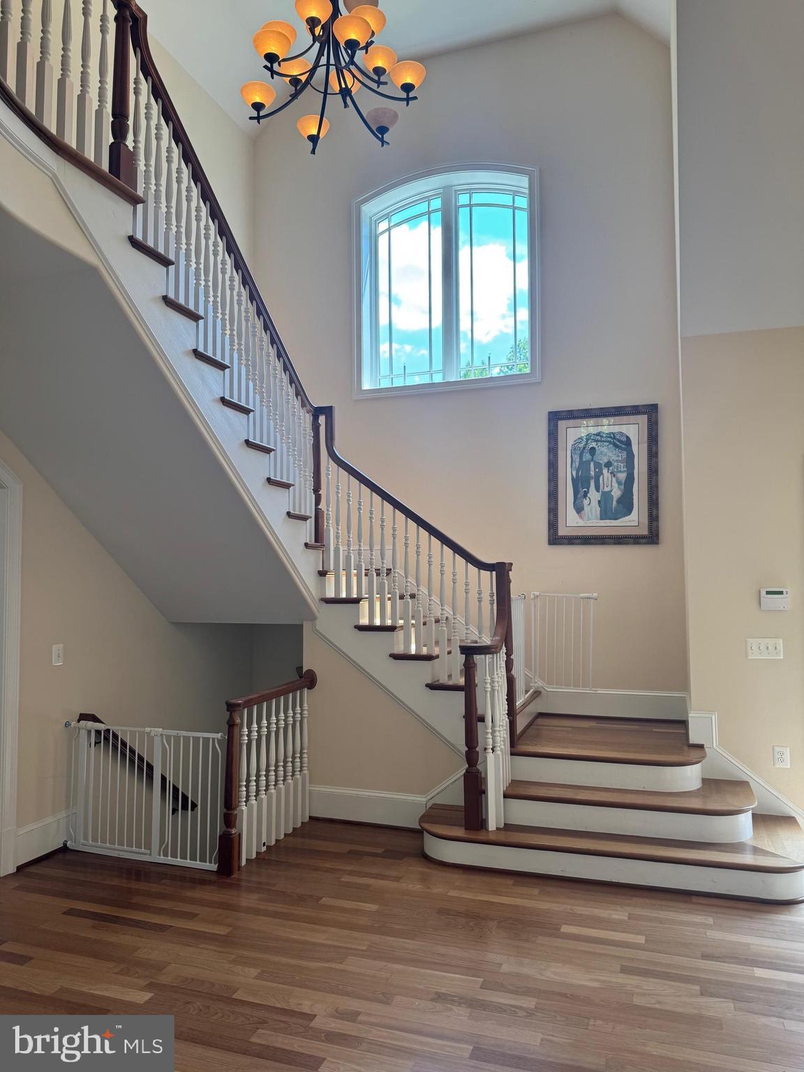 WOODS OF WOODMORE - Residential