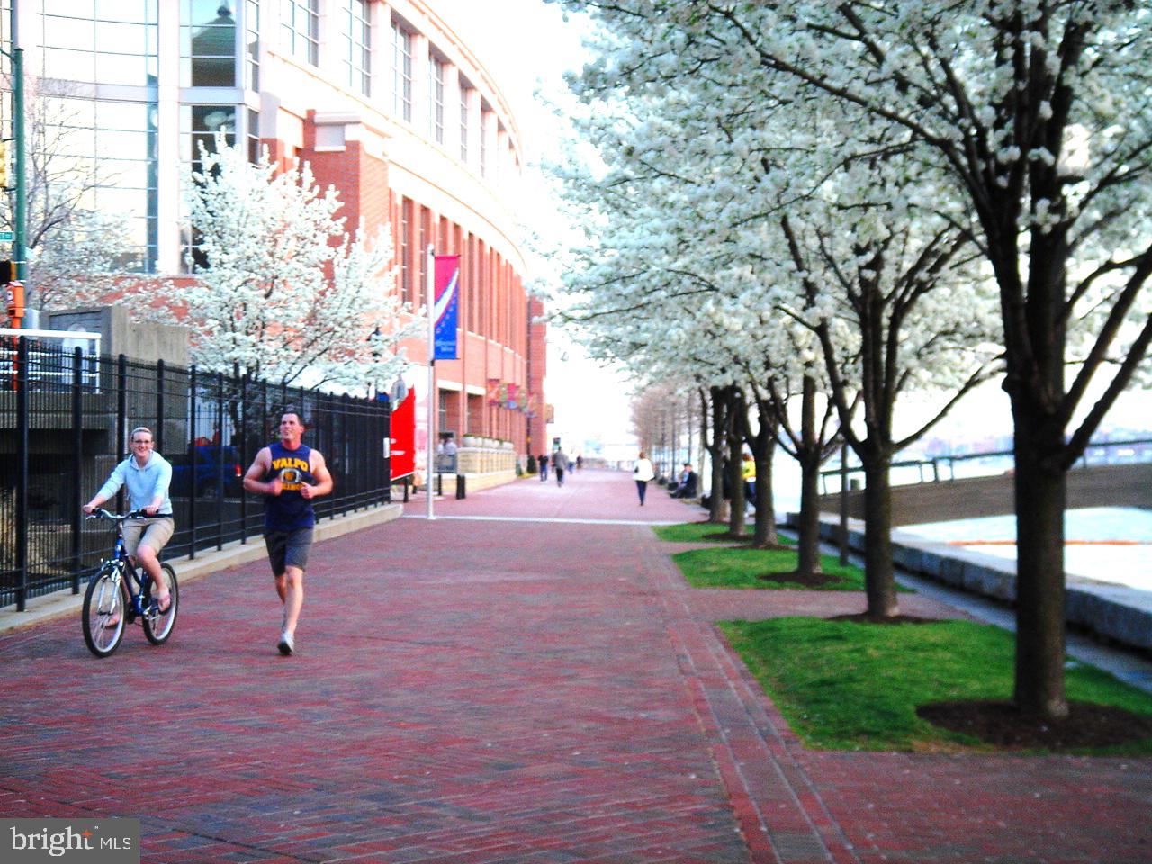 HARBOR EAST - Residential Lease