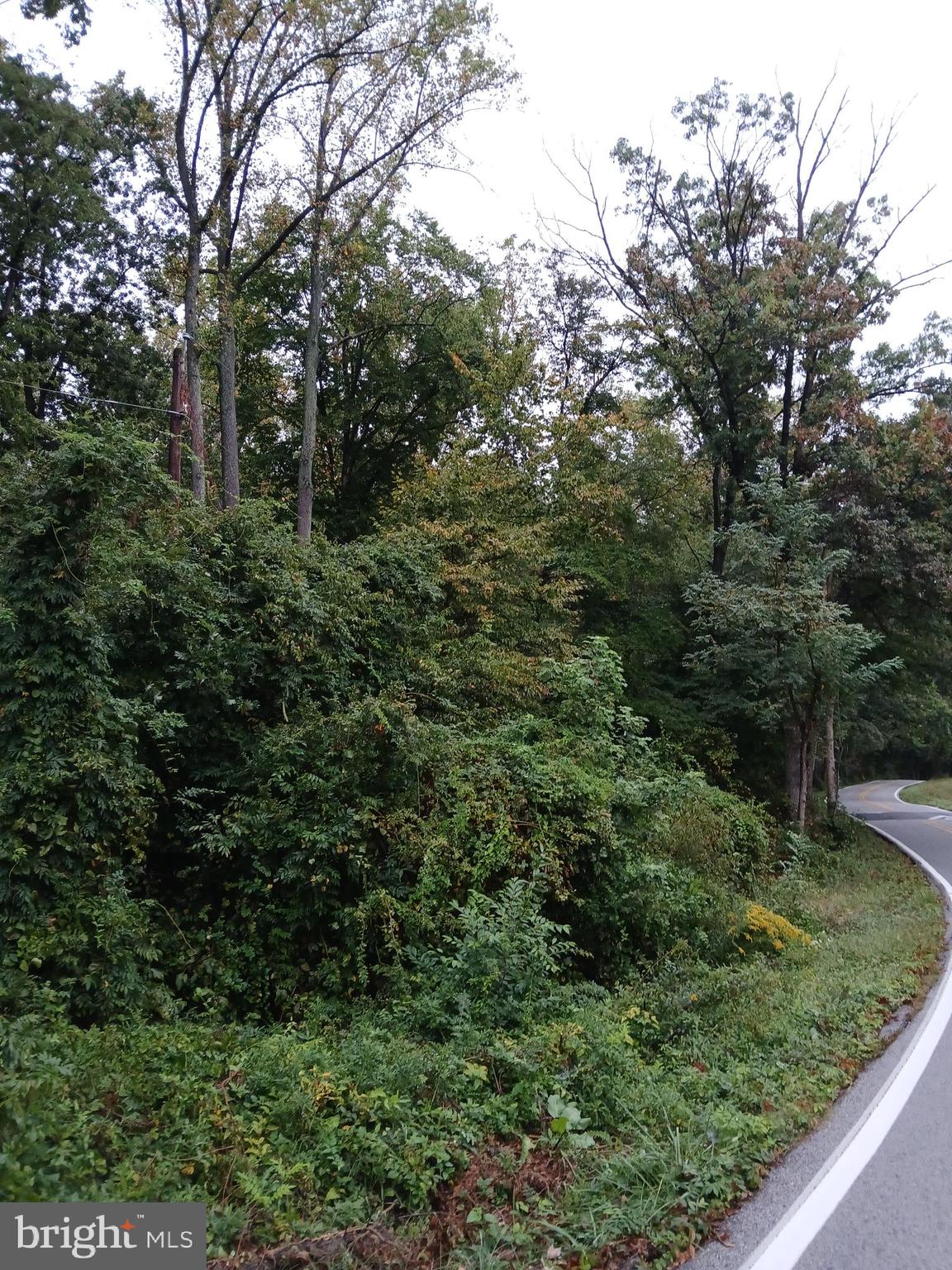 Seize the opportunity to own this stunning 4.17-acre lot in the desirable Kingsville area! Perfect for those looking to invest in their future, this property offers a rare combination of space and convenience, with no building obligations and no HOA restrictions.
Enjoy the freedom to build your dream home on your terms! The lot is selling as is, and the buyer will be responsible for installing a well and septic system. Located just minutes away from local amenities, shopping, and dining, this lot combines the peace of rural living with the convenience of being close to town. Sold as-is
Don't miss out on this fantastic investment opportunity!