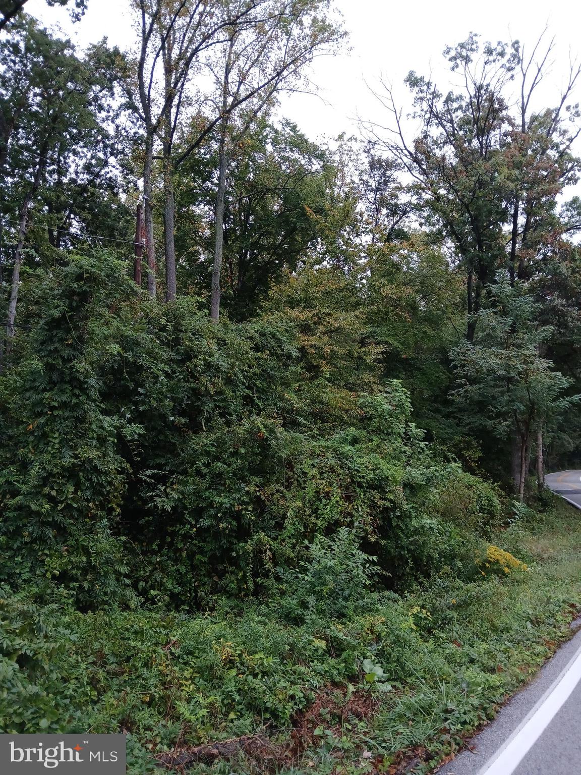 MT VISTA ROAD