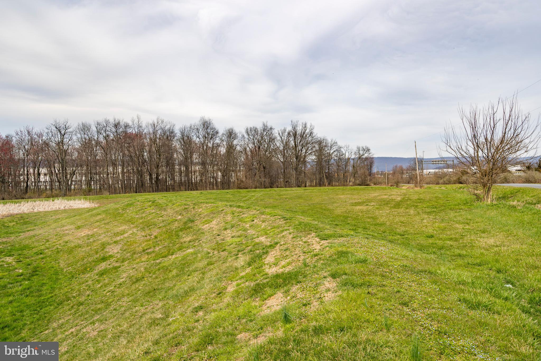 NONE AVAILABLE - Farm