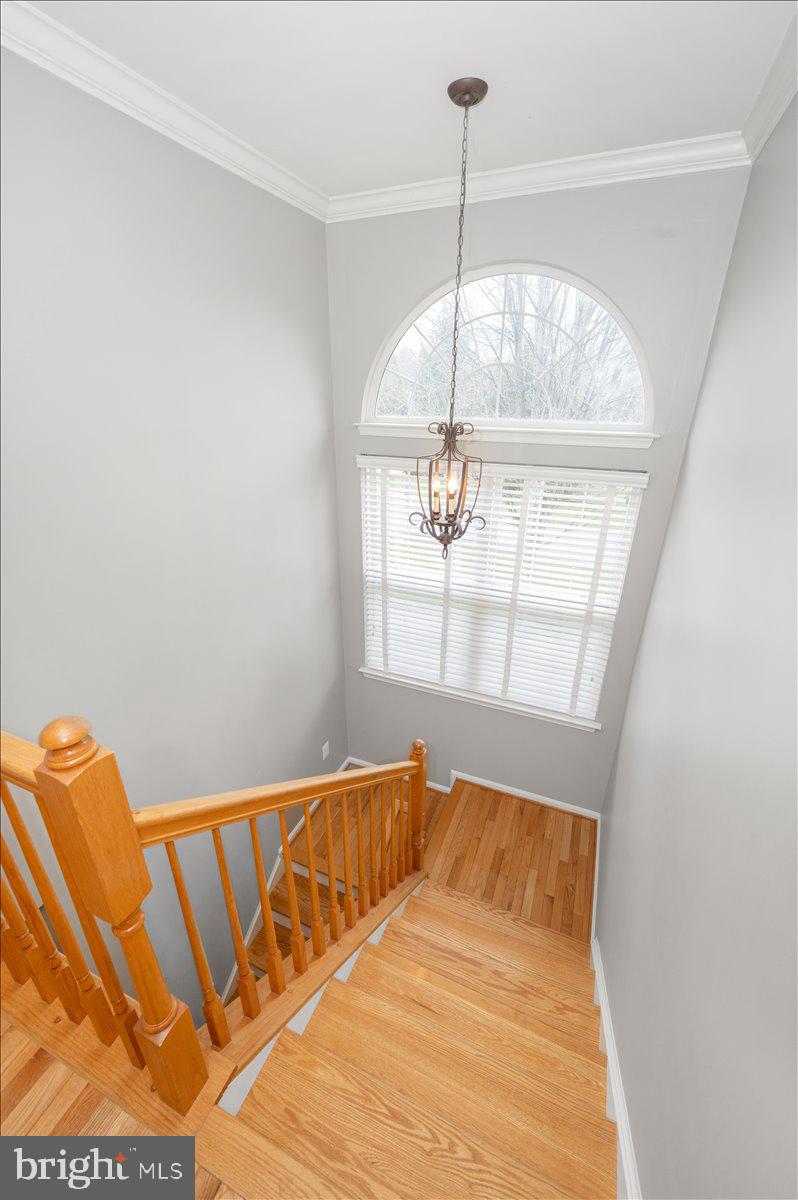 MANOR OAKS - Residential