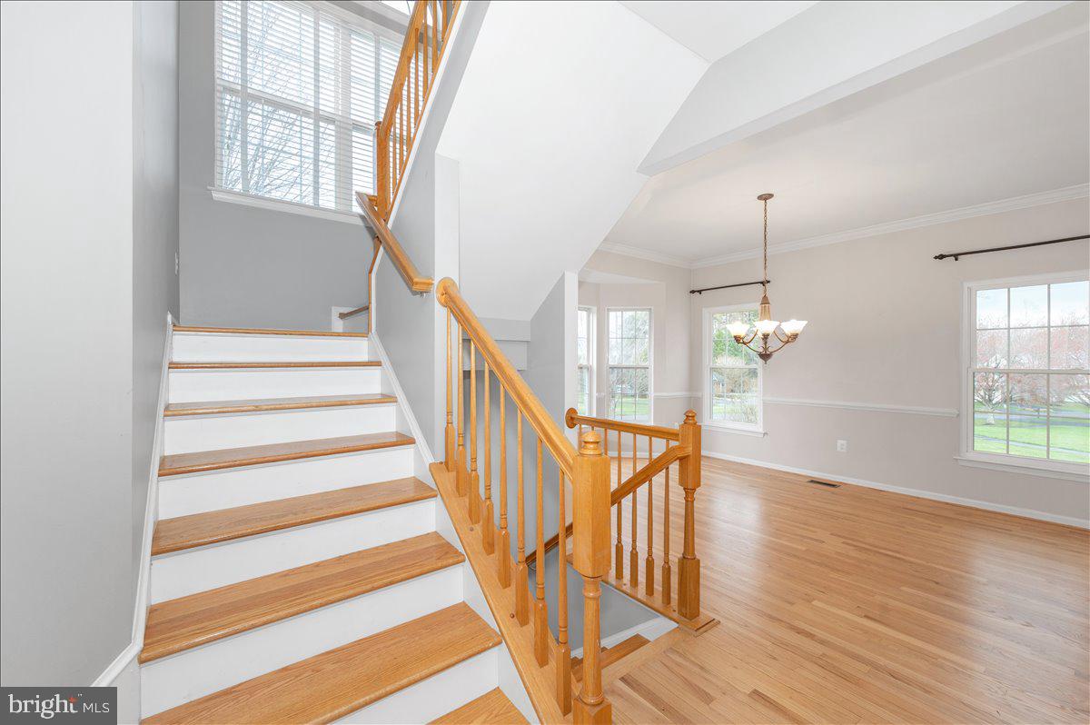 MANOR OAKS - Residential