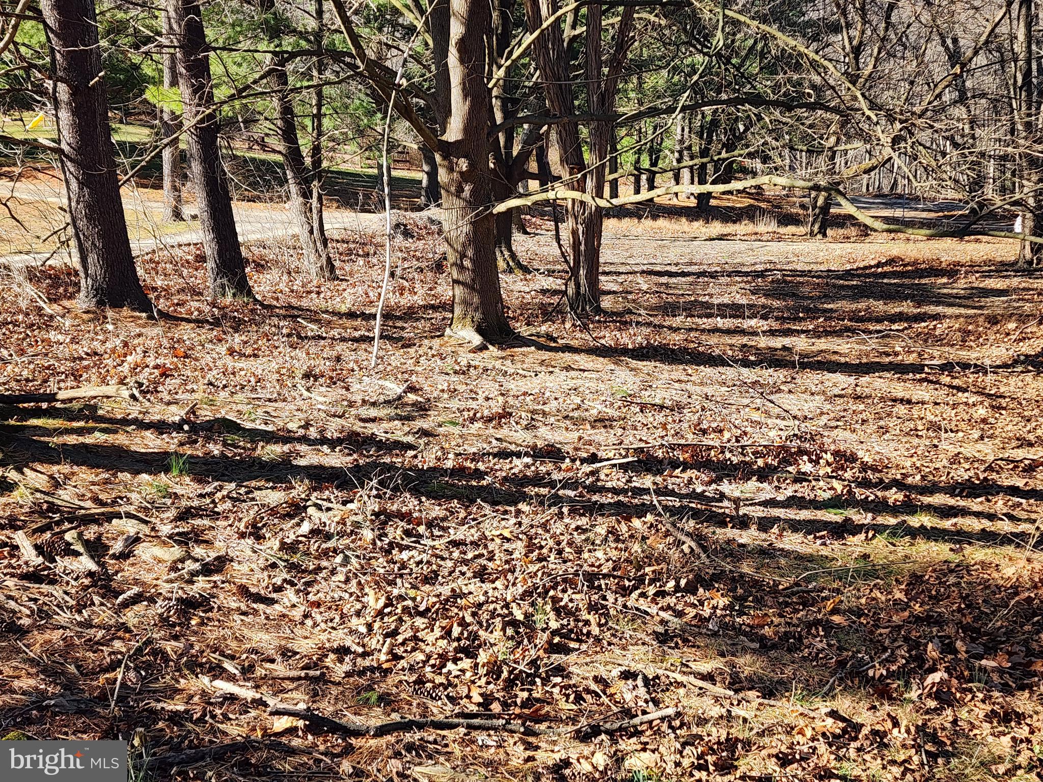 BRICKER - Residential