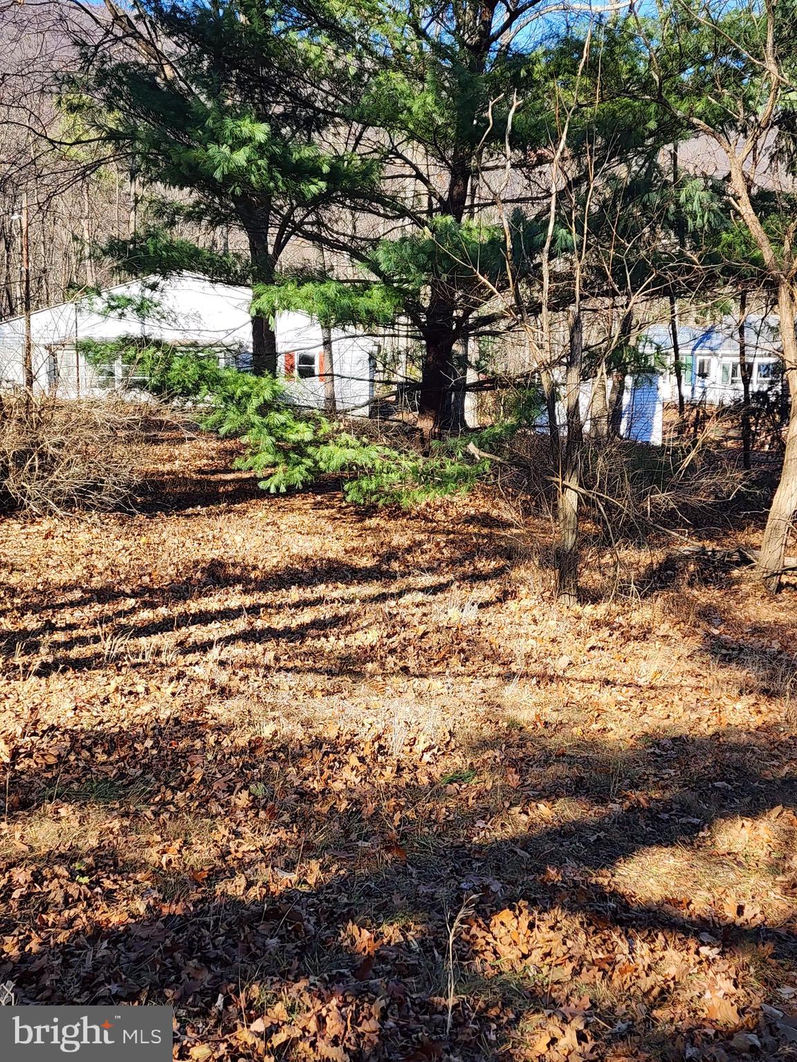 BRICKER - Residential