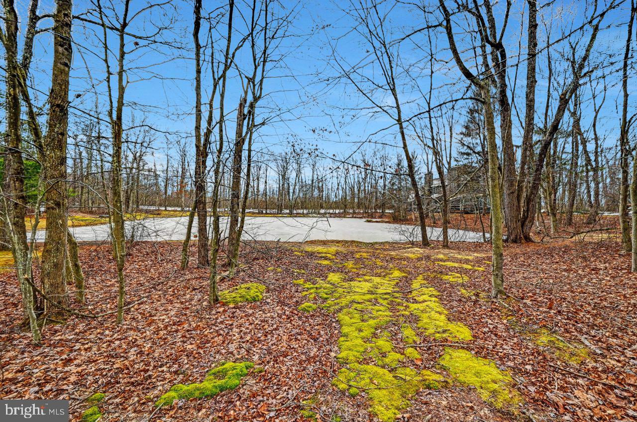 SNOW RIDGE VILLAGE - Residential