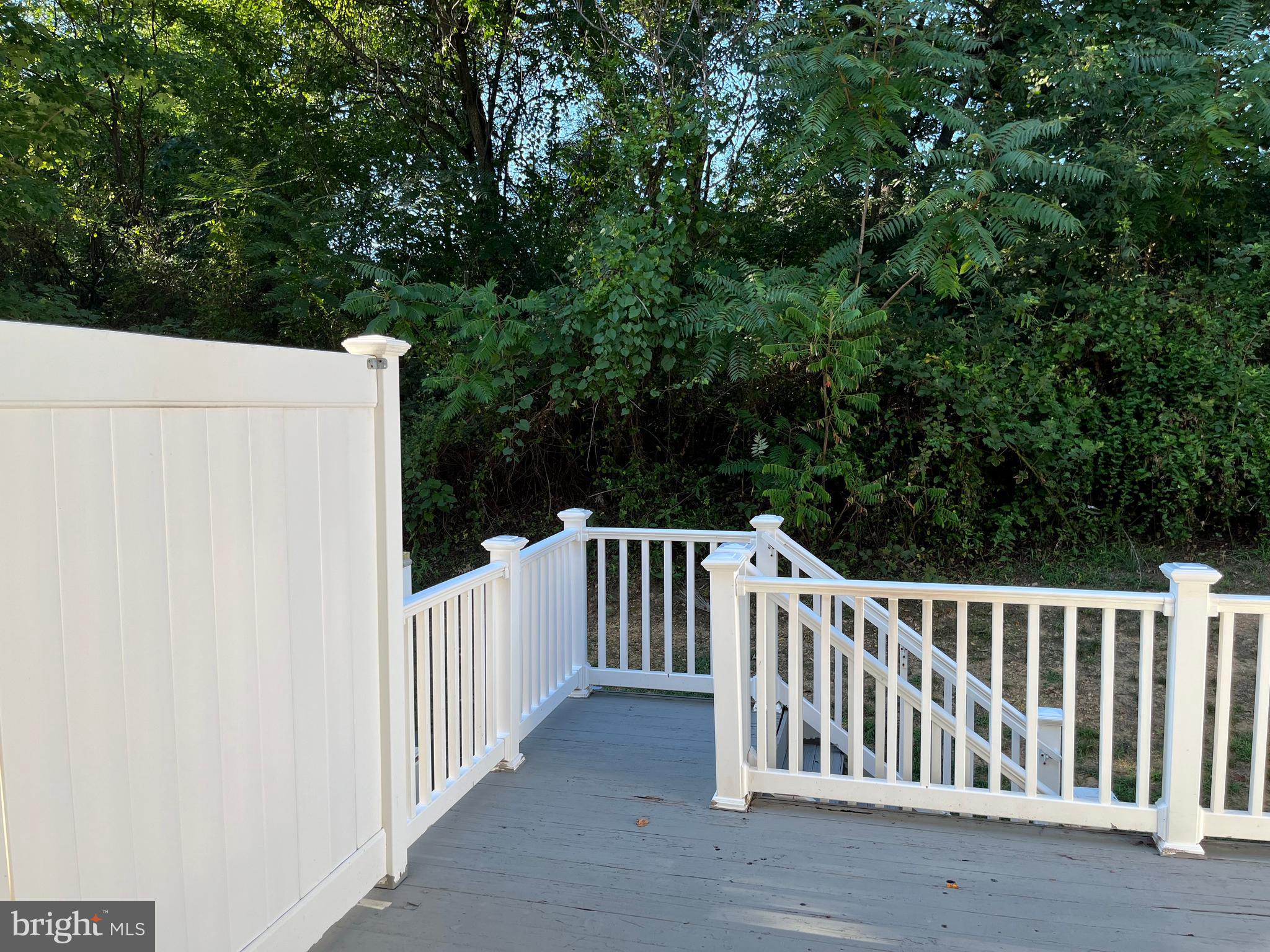 RENAISSANCE PLAZA - Residential