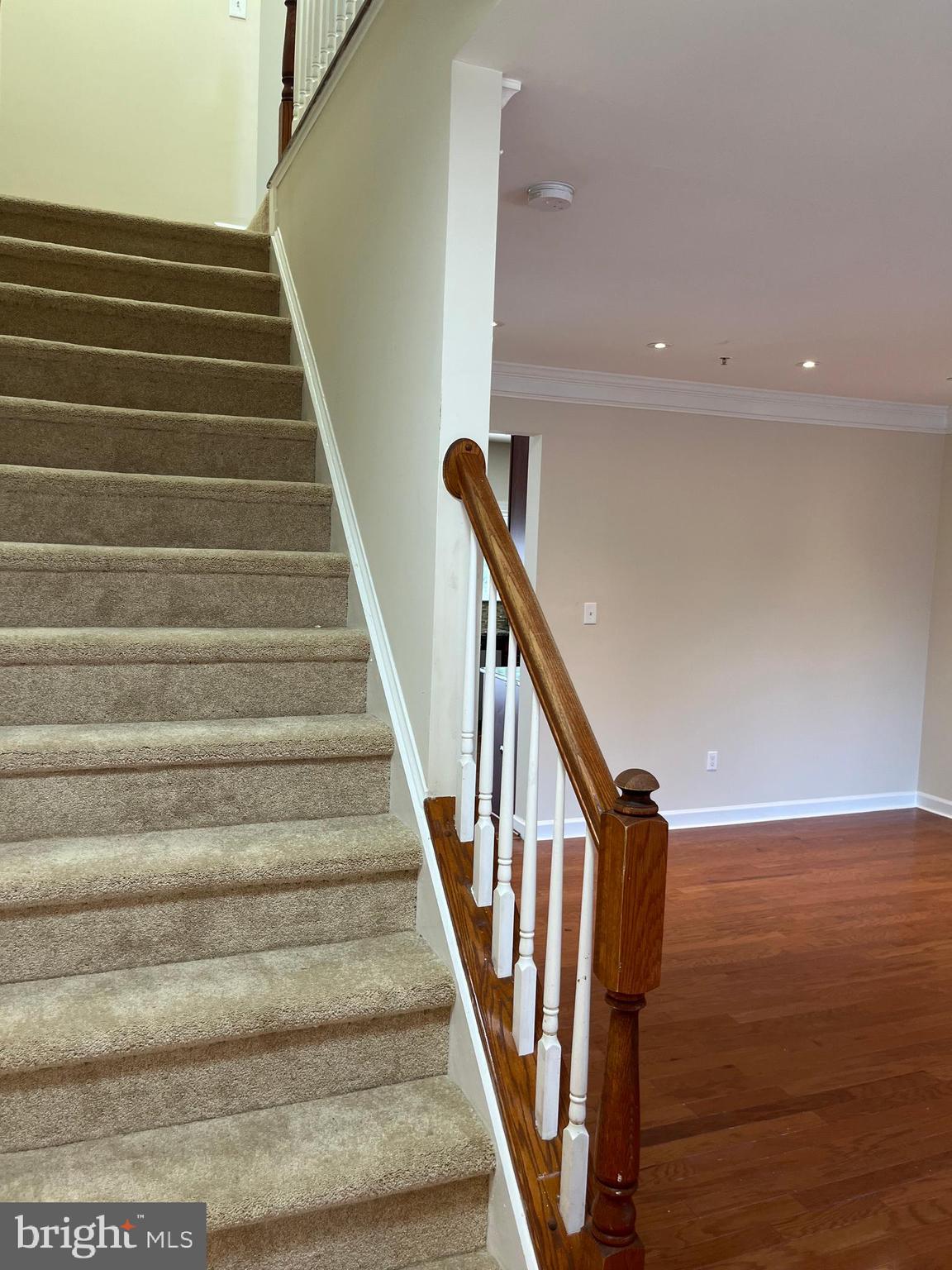 RENAISSANCE PLAZA - Residential