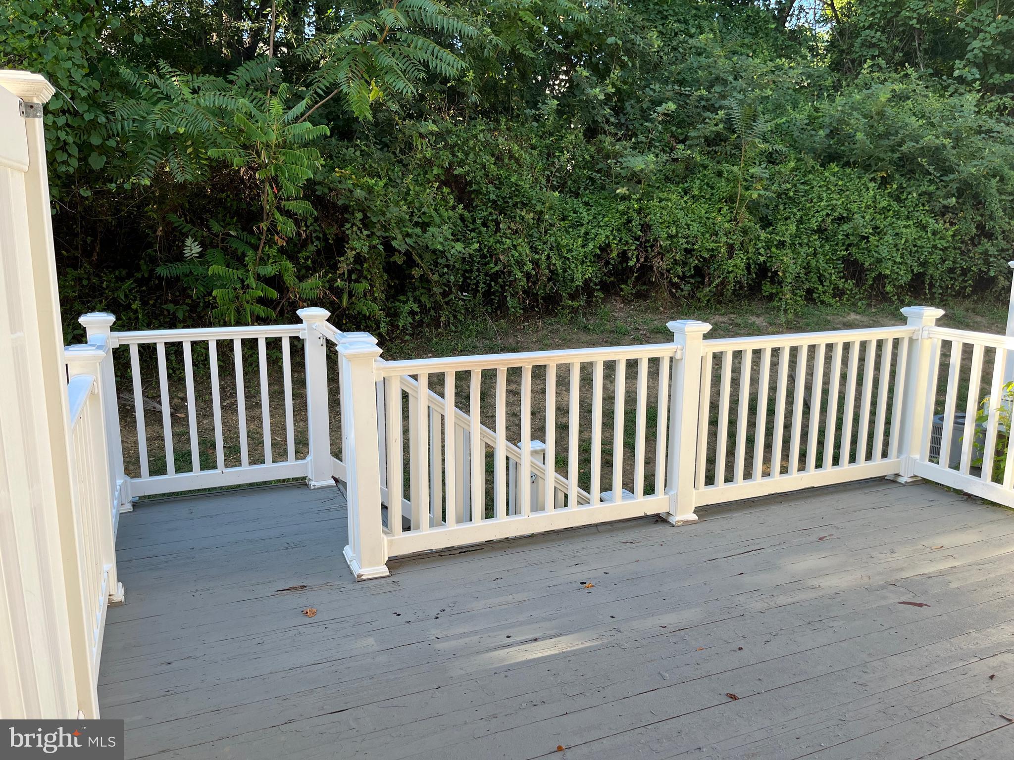 RENAISSANCE PLAZA - Residential