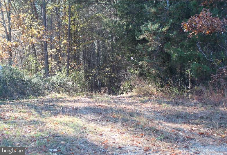 MEADOWVIEW - Residential