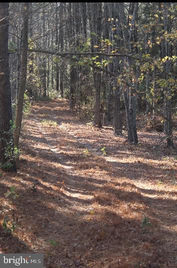 MEADOWVIEW - Residential