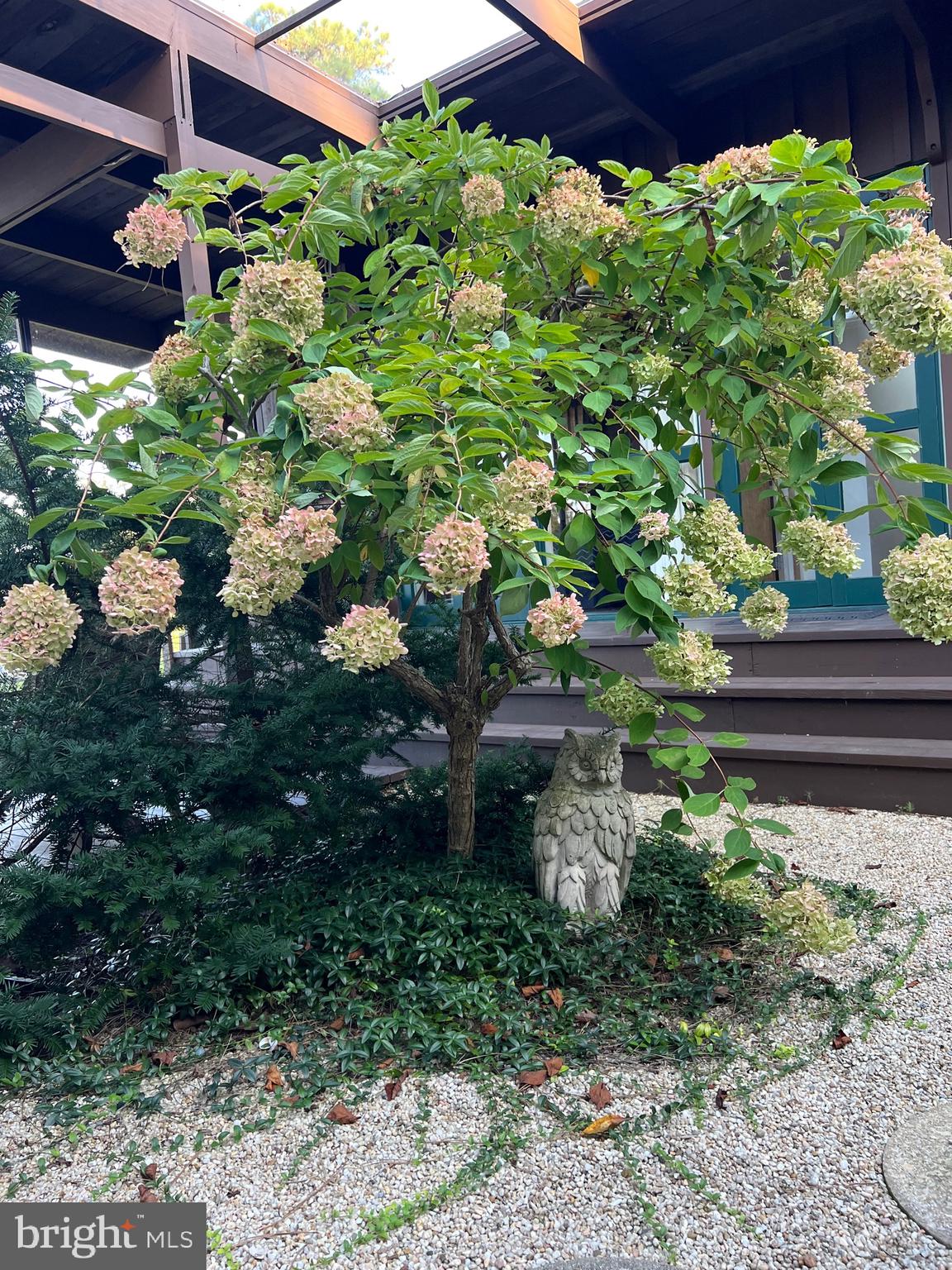 NORTH SHORES - Residential