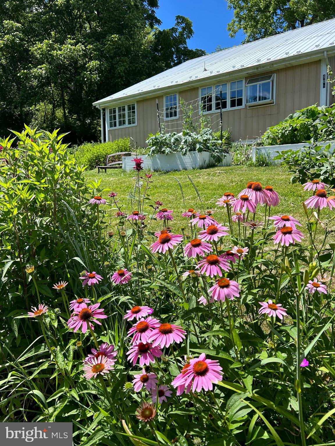 1343 PENNS CREEK ROAD