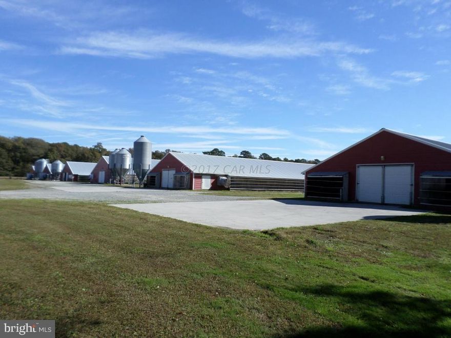 Well-kept income-producing poultry farm has 6 houses w/ long growth history & room to expand per owner.  (2) 43X500 built in 1998 & 2000, (2) 50x500 built in 2004 & (2) 60x560 built in 2008. (Growing Broilers) 32+ acres w roughly 21+- cleared & 11+- wooded; (4) 160' 4" wells, (1) 100KW generator, (1) 150 KW generator, 30x60 Workshop, 40x64 Manure Shed, 40x184 Manure Shed, 30x60 Workshop, 12x16 Storage Shed, 16x21 Horse Barn & Pasture, 3/4 acre pond & new water treatment system for all houses.  Perfect home site is protected by 1400' treed wind break (also a 3BR 2BA w garage on 3+ acres can be sold w farm-contact Listing Agent for details)  Sale also includes S150 Bobcat, 2 farm trucks & a fishing boat for a little R&R!  A truly turn-key operation ready for new owners.  NOTE THERE ARE NO BEDS/BATHS ON THE FARM BUT MLS WILL NOT ALLOW US TO LEAVE THESE FIELDS BLANK