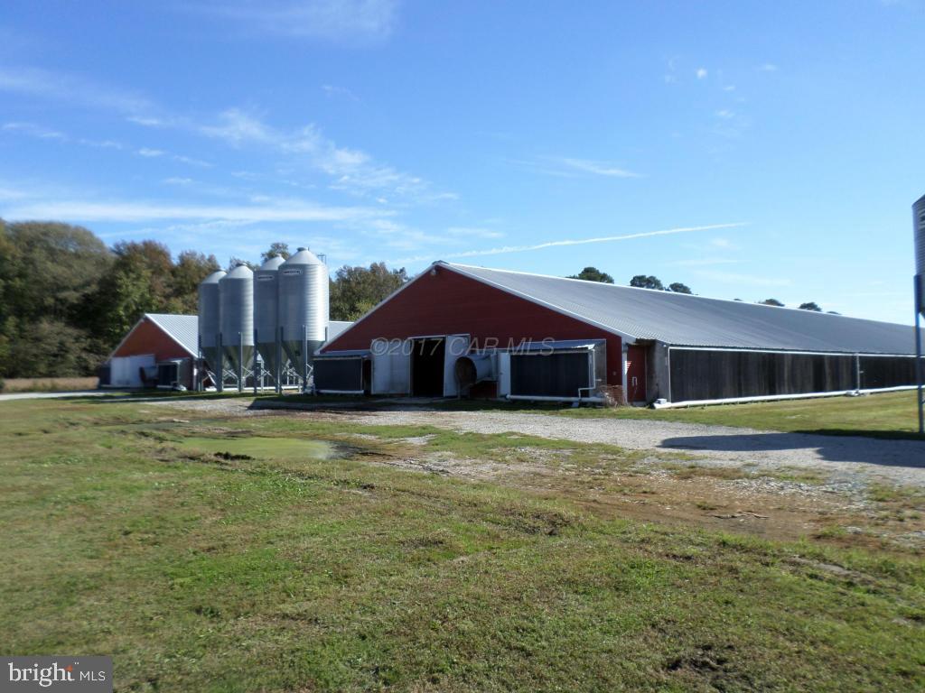 NONE AVAILABLE - Farm