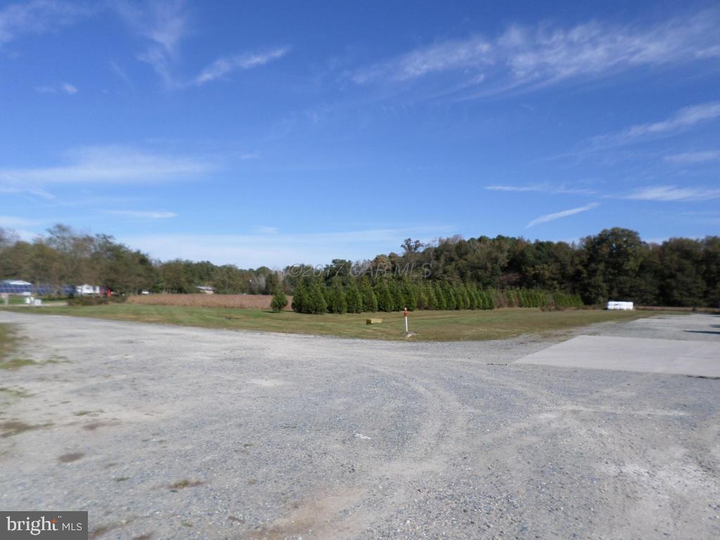 NONE AVAILABLE - Farm