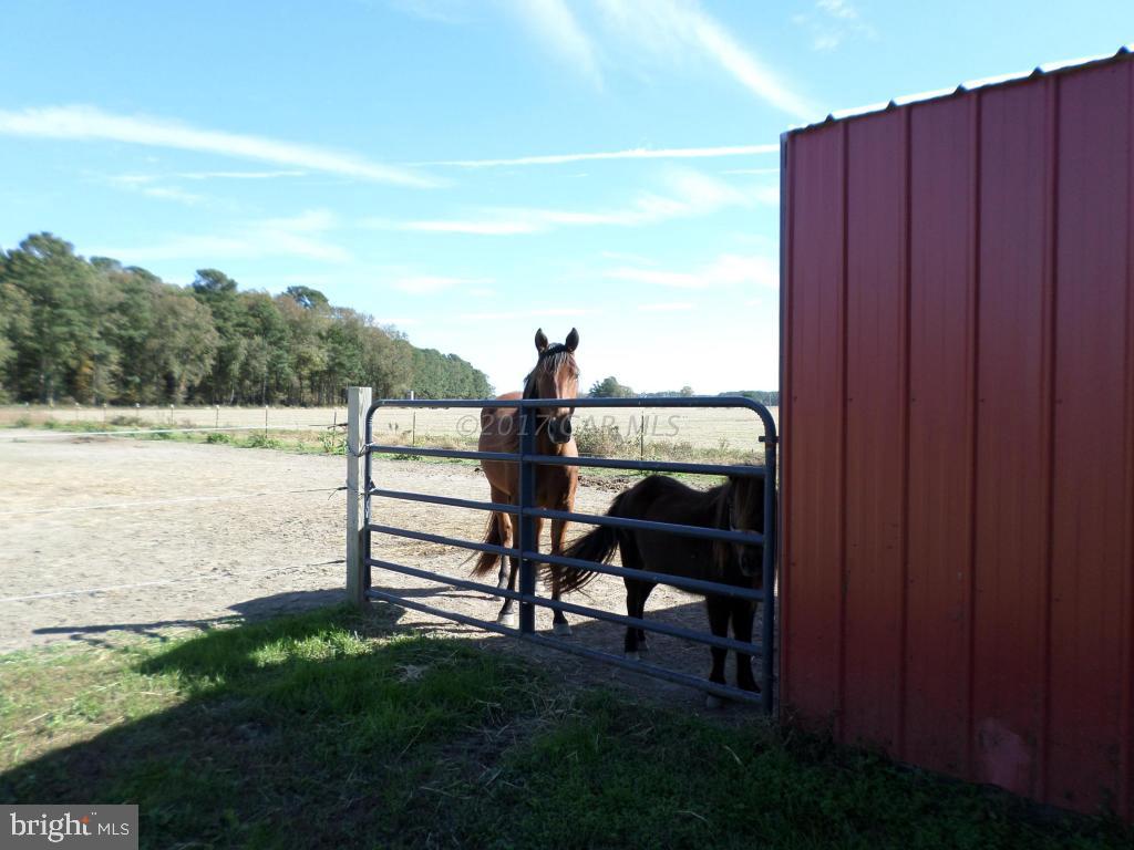 NONE AVAILABLE - Farm