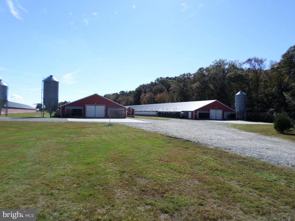 NONE AVAILABLE - Farm