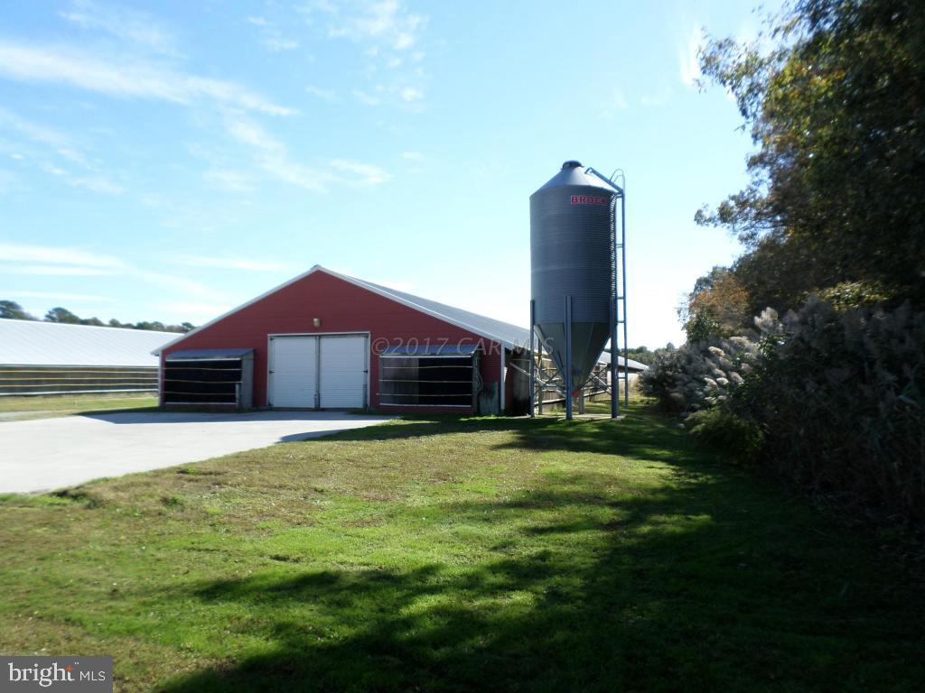 NONE AVAILABLE - Farm