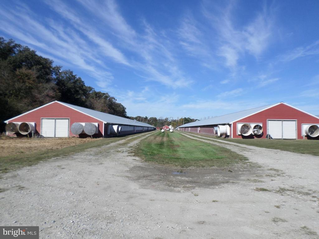 NONE AVAILABLE - Farm