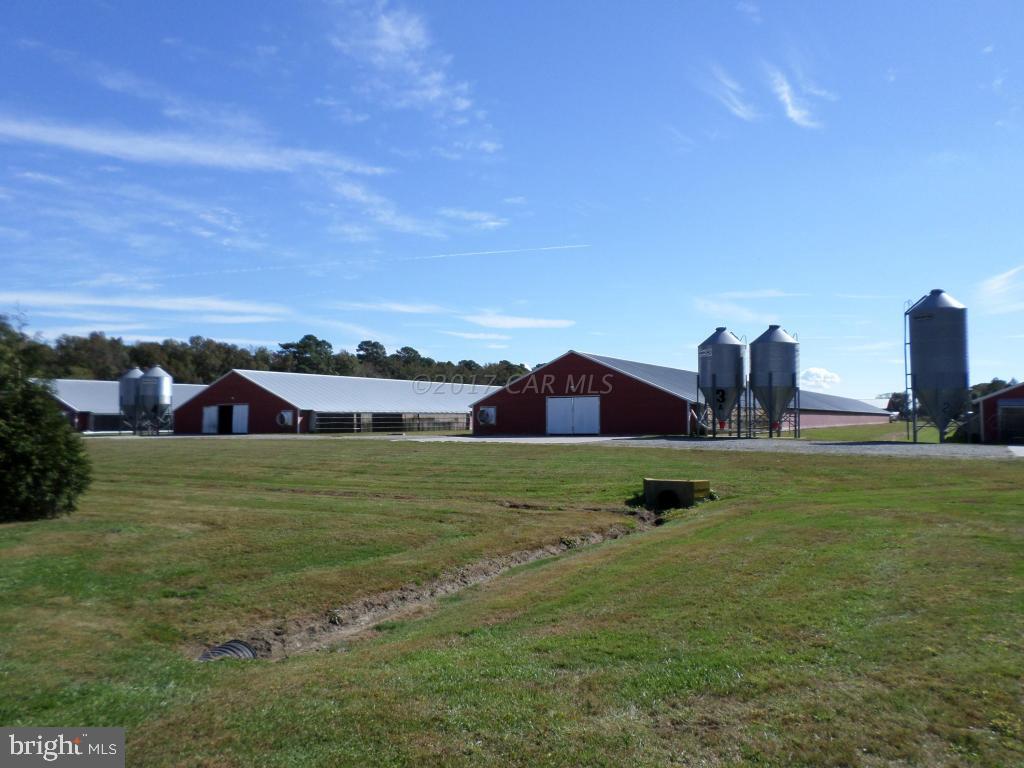 NONE AVAILABLE - Farm