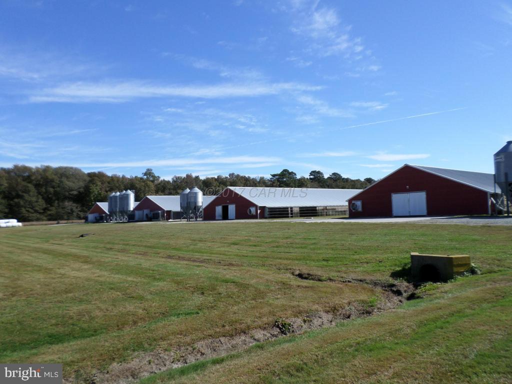 NONE AVAILABLE - Farm