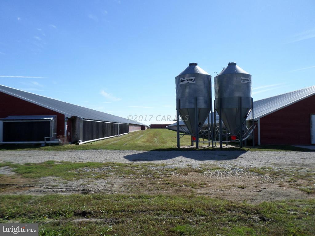 NONE AVAILABLE - Farm