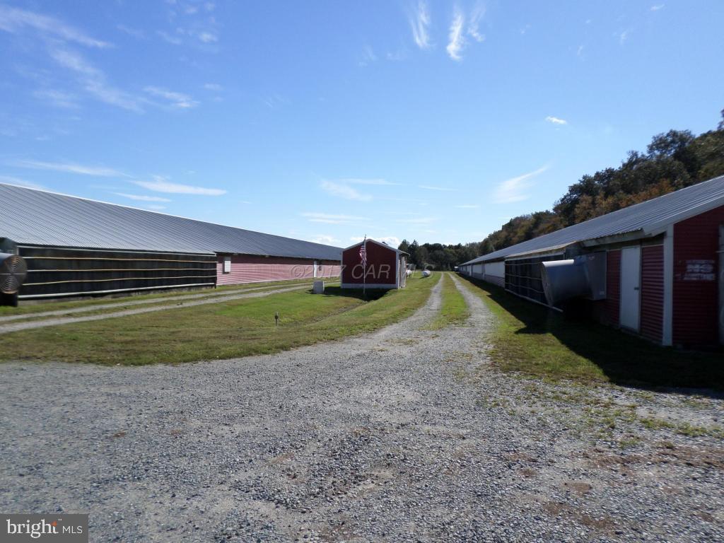 NONE AVAILABLE - Farm