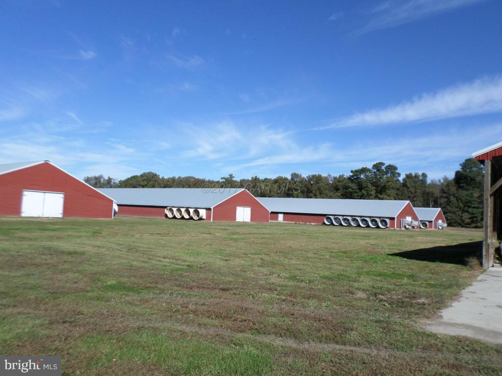 NONE AVAILABLE - Farm