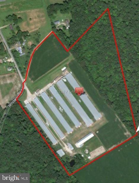 NONE AVAILABLE - Farm