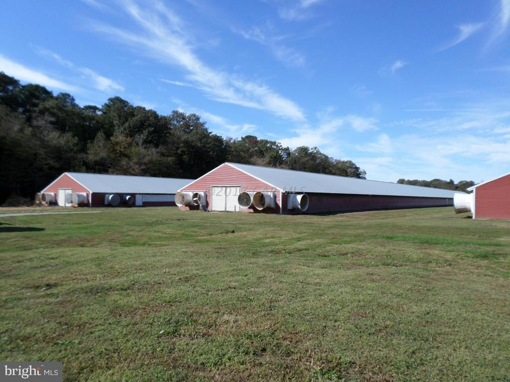 NONE AVAILABLE - Farm