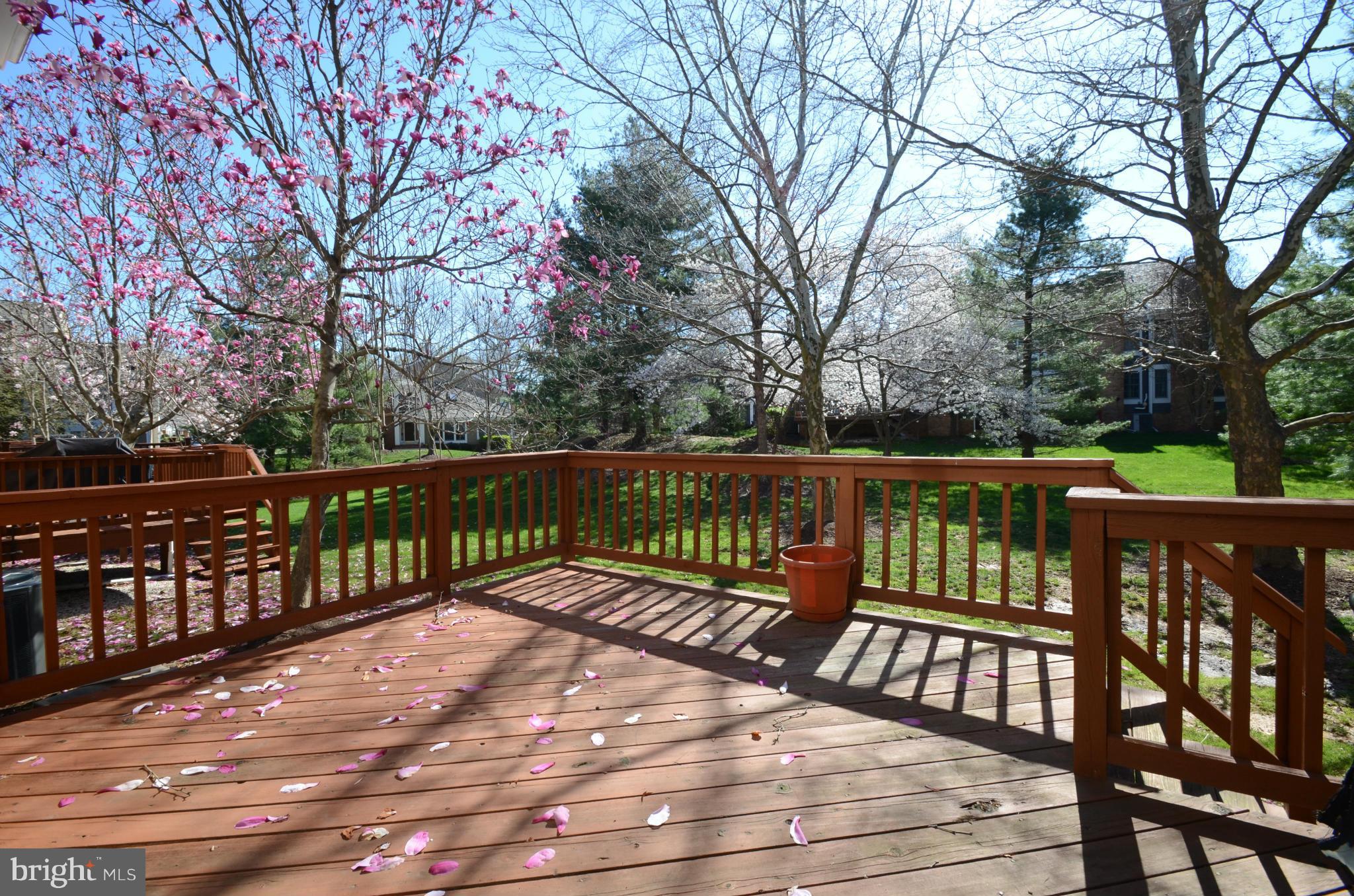 GREENE TREE - Residential