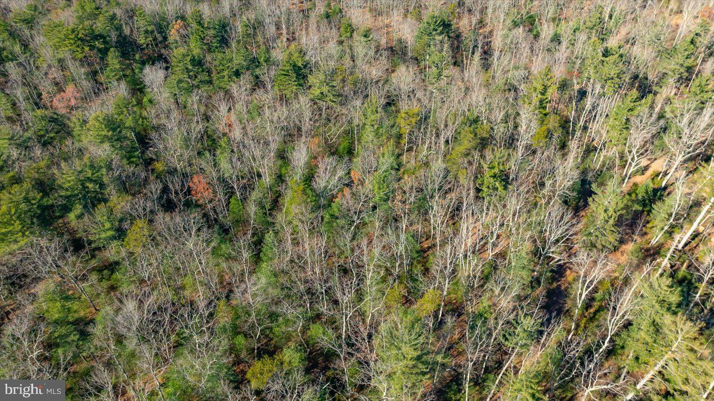 NONE AVAILABLE - Land