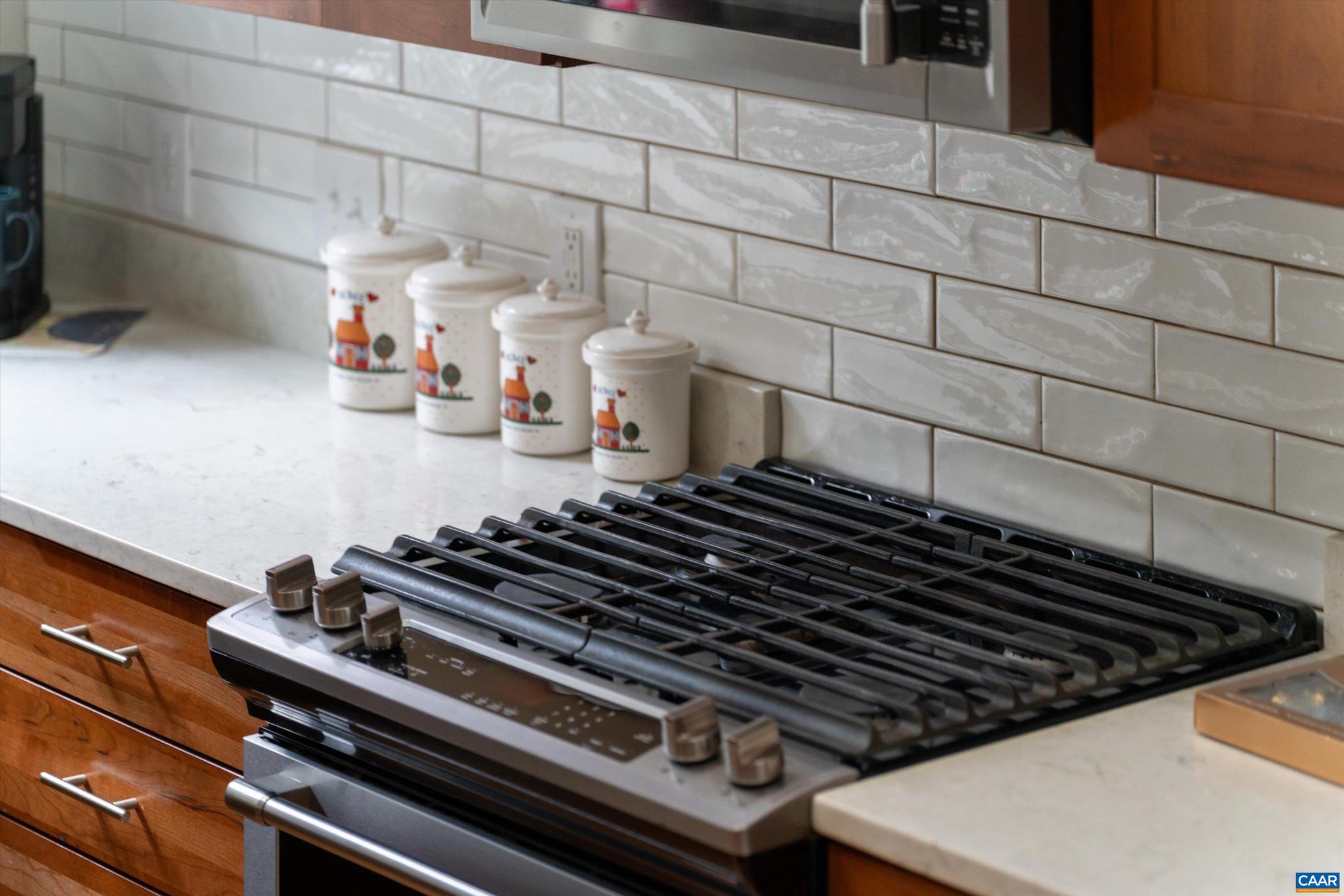 CEDAR LAKE - Residential