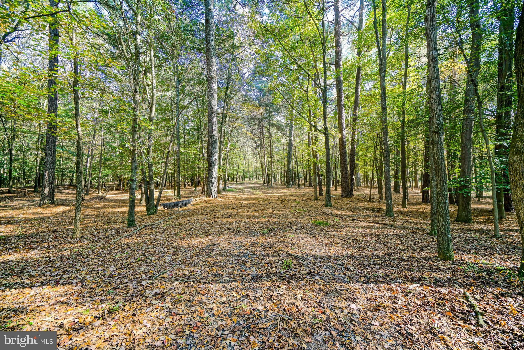 22240 GOOD FLOCKING WAY