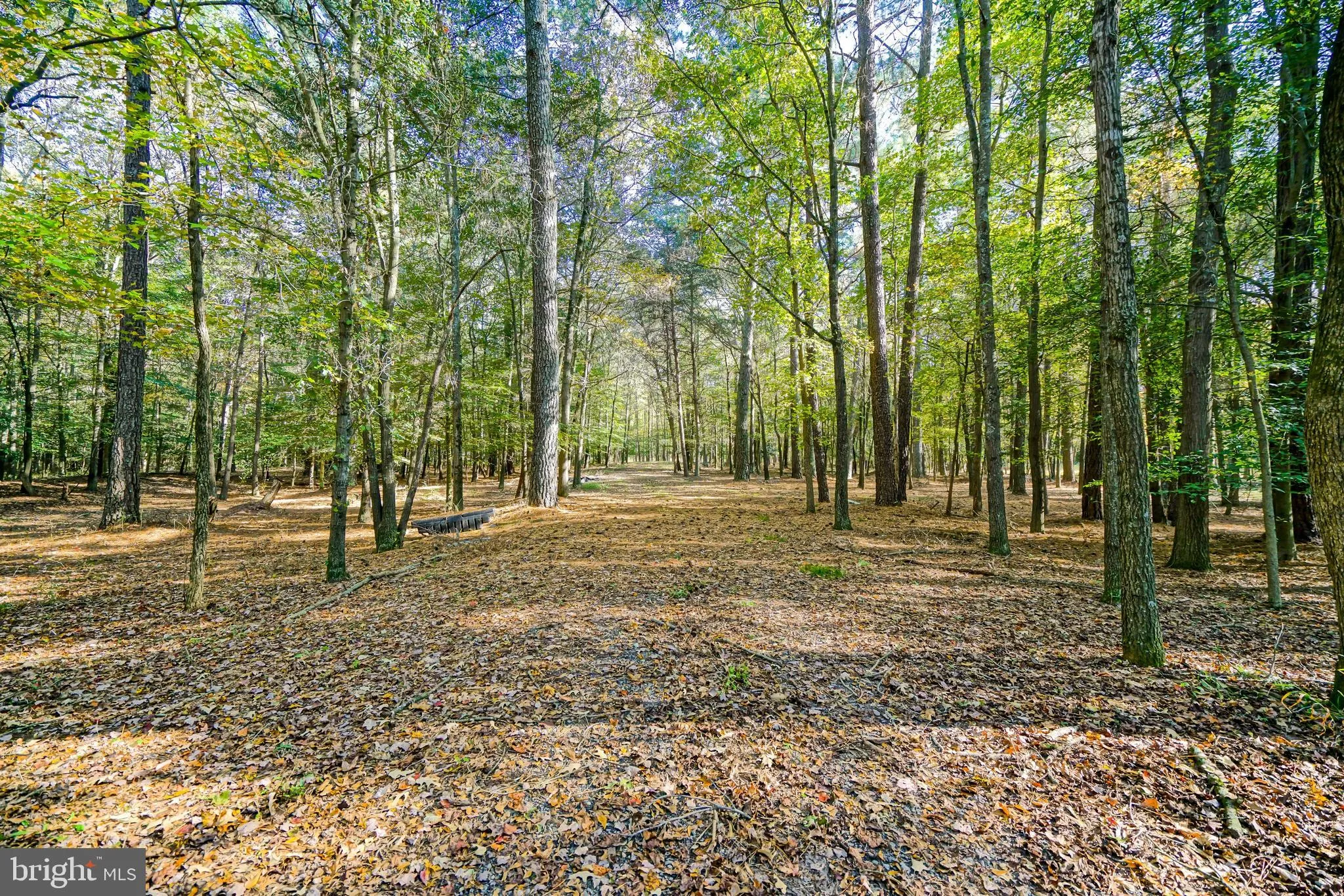 Frankford, Delaware 19945, United States, ,Land,Active,238985