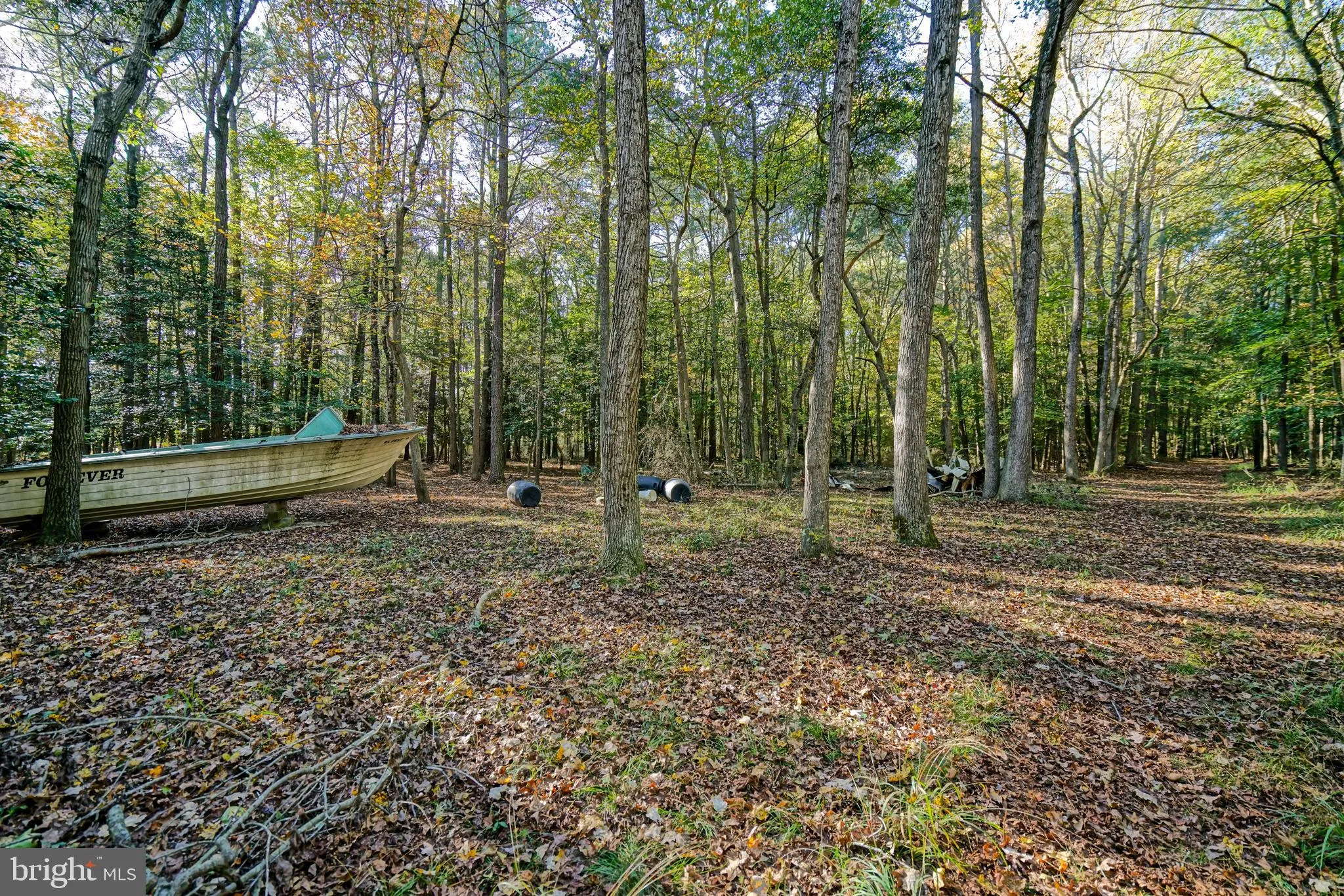 Frankford, Delaware 19945, United States, ,Land,Active,238985