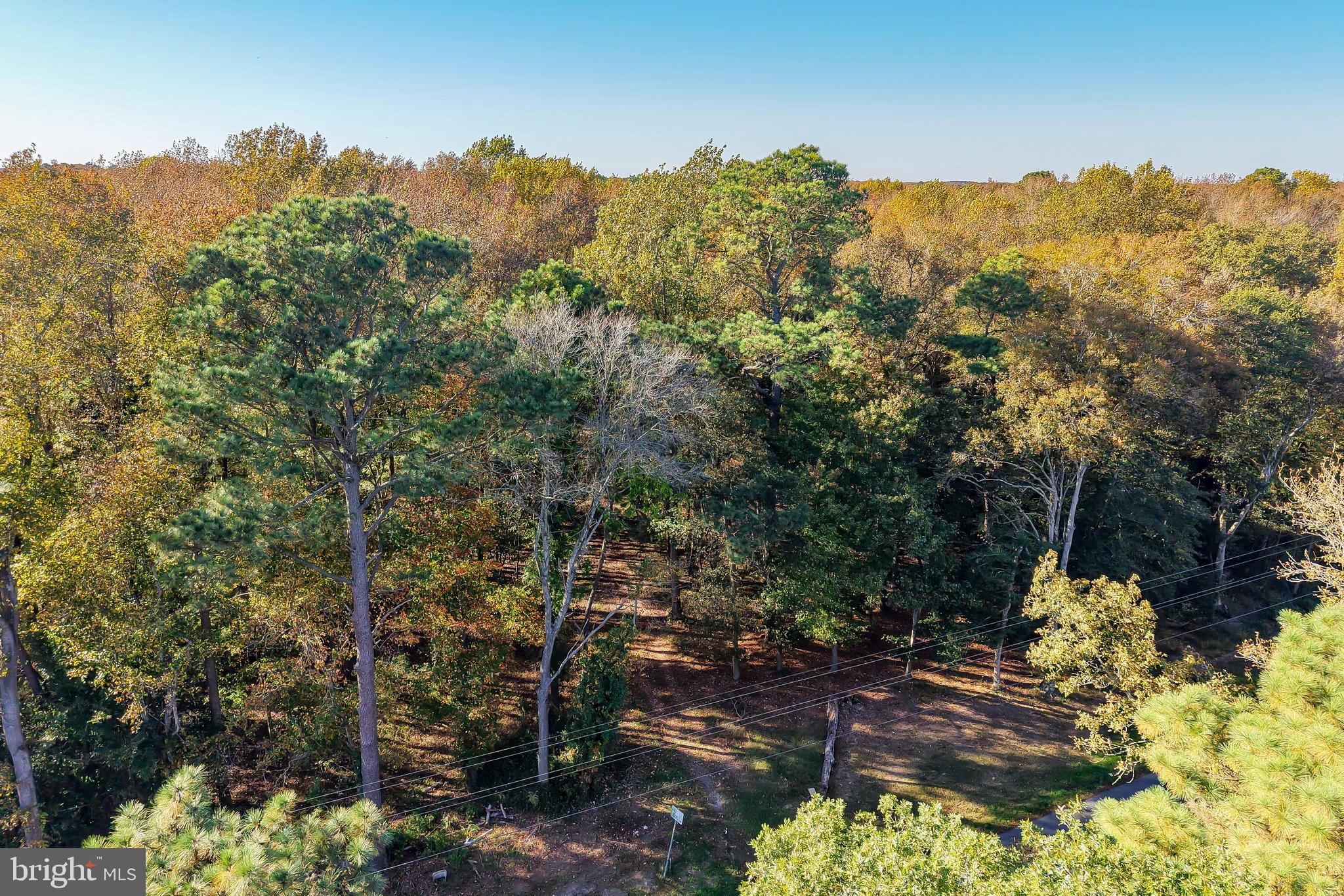 22240 GOOD FLOCKING WAY