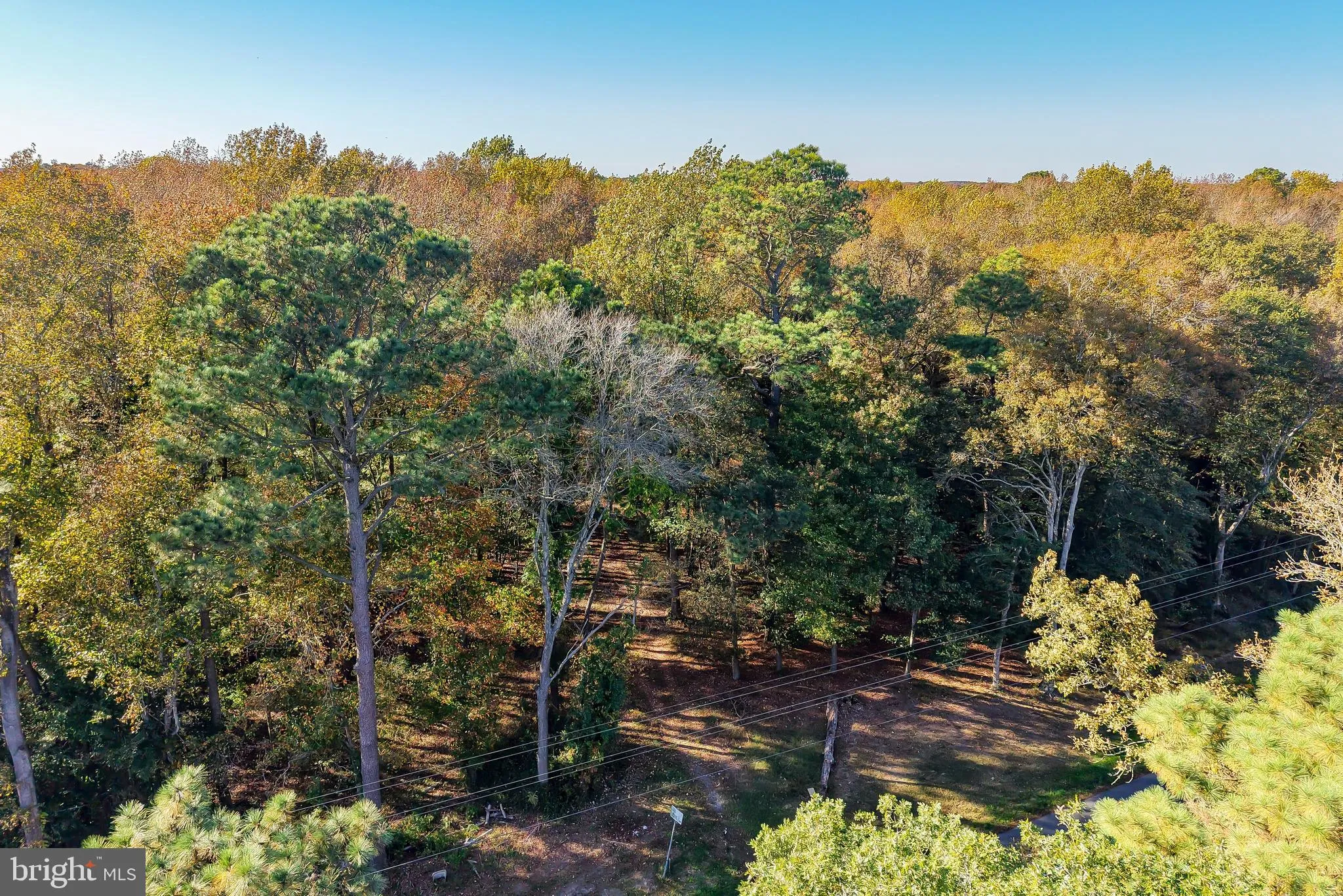 Frankford, Delaware 19945, United States, ,Land,Active,238985