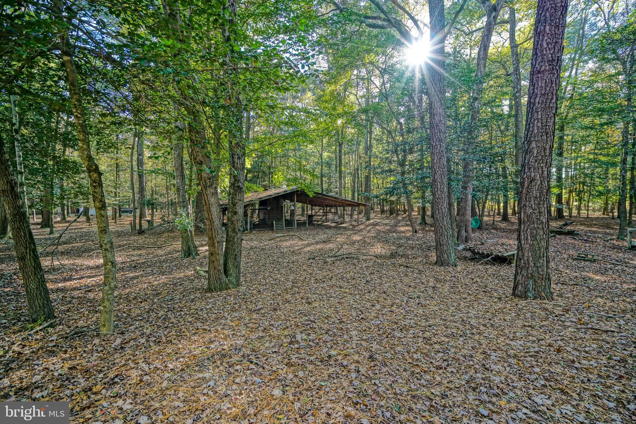 Frankford, Delaware 19945, United States, ,Land,Active,238985