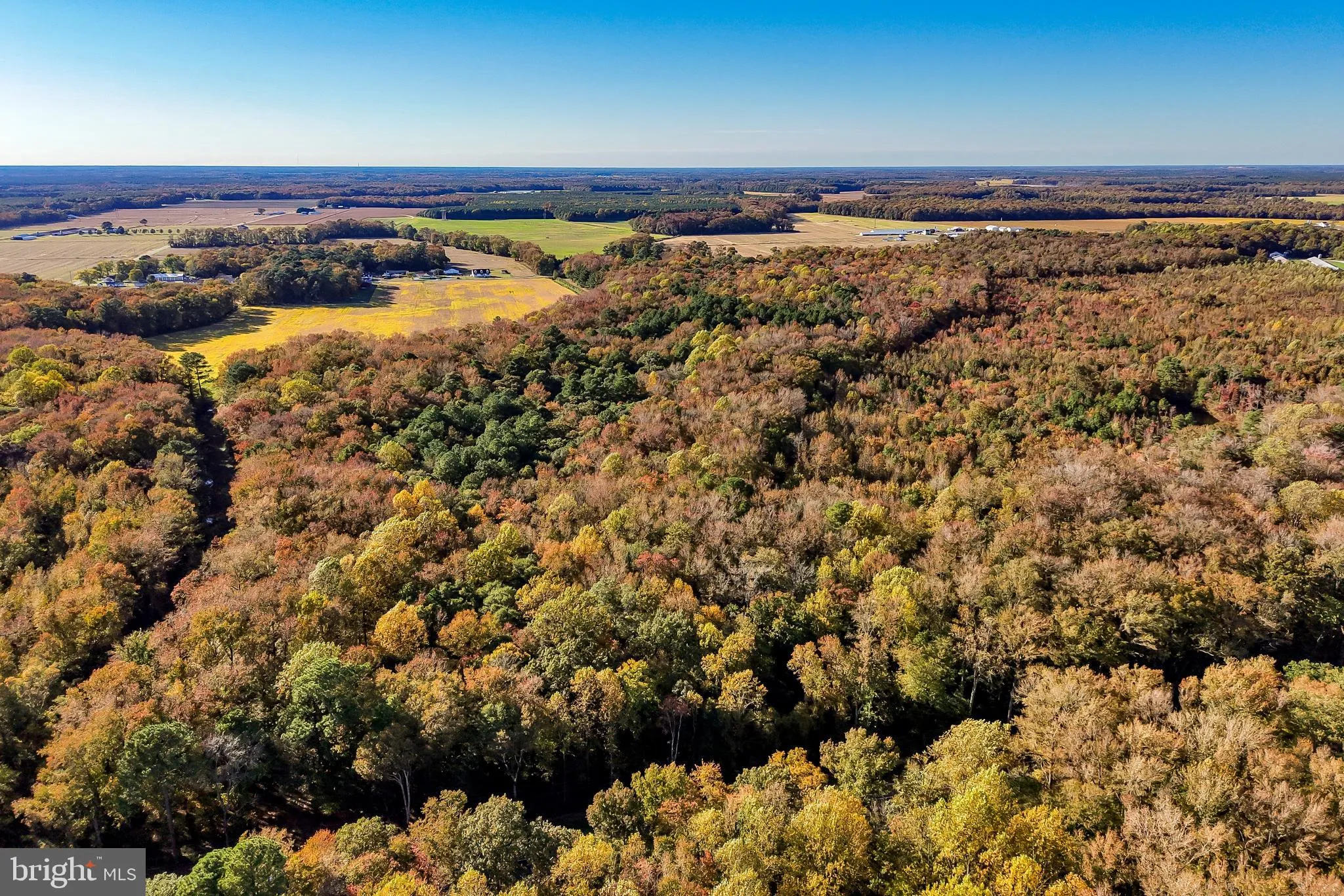 Frankford, Delaware 19945, United States, ,Land,Active,238985