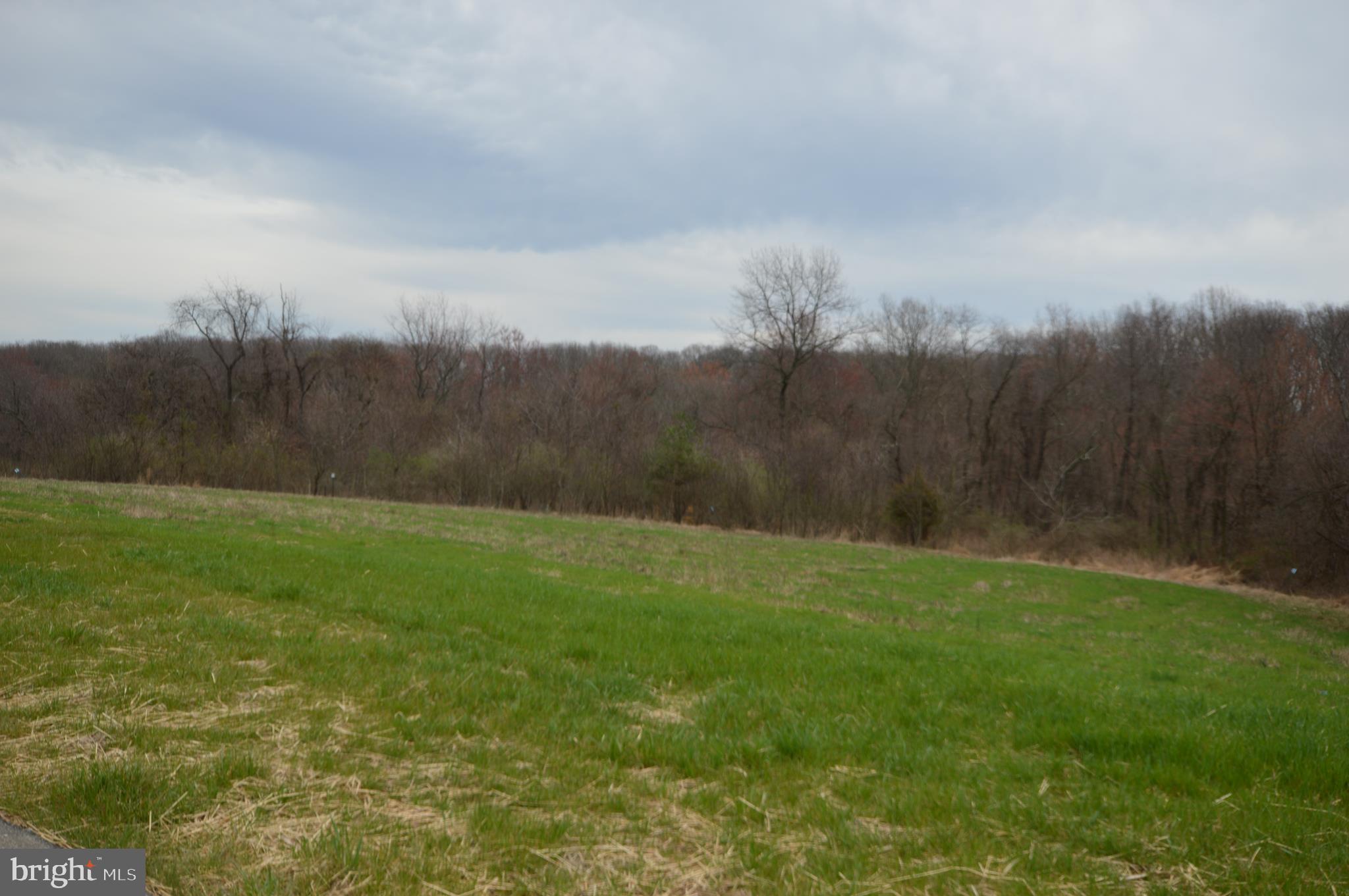 HAMPSTEAD - Residential