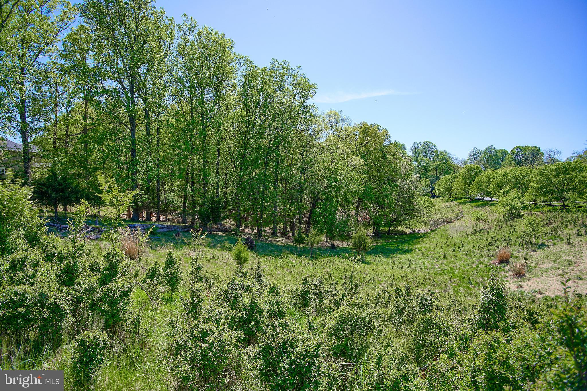 13501 MOONLIGHT TRAIL DRIVE