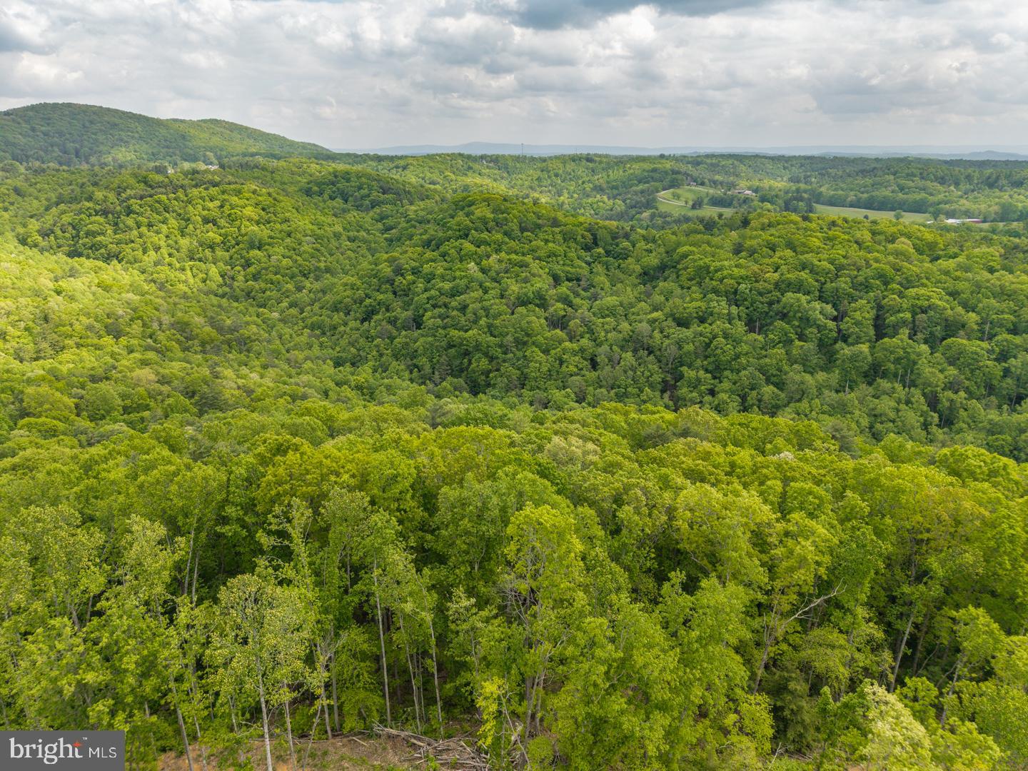 0 PINE GROVE