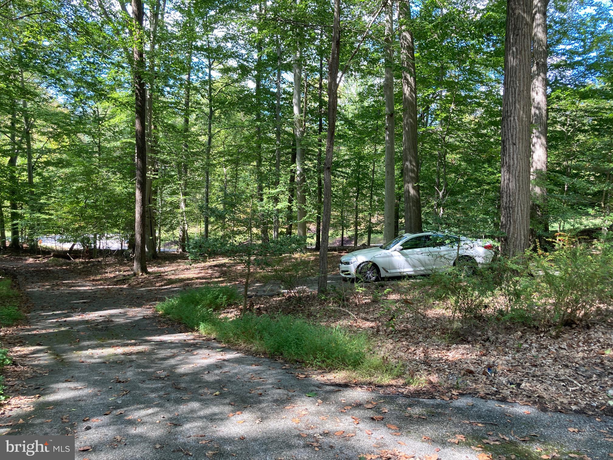 4921 BONNIE BRANCH ROAD
