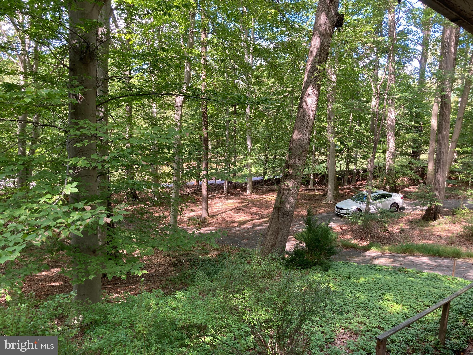 4921 BONNIE BRANCH ROAD