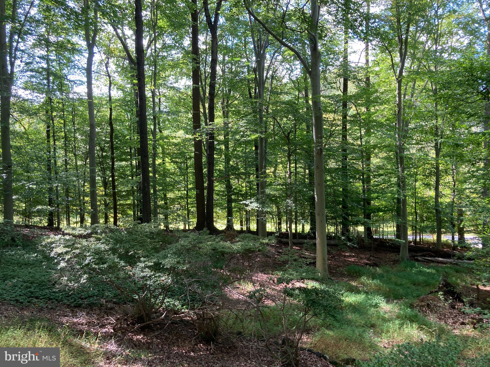 4921 BONNIE BRANCH ROAD