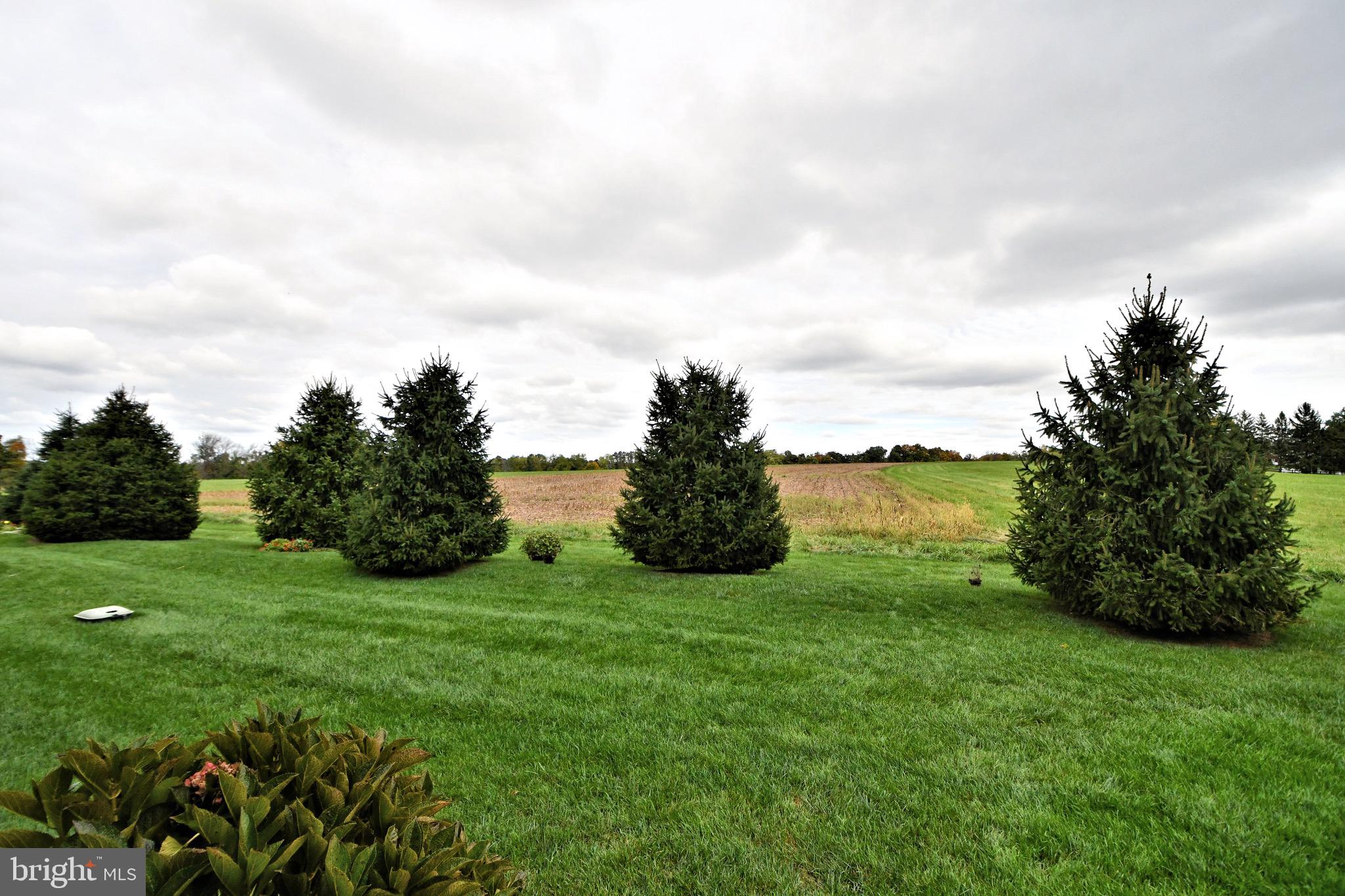 MEADOW GLEN - Residential