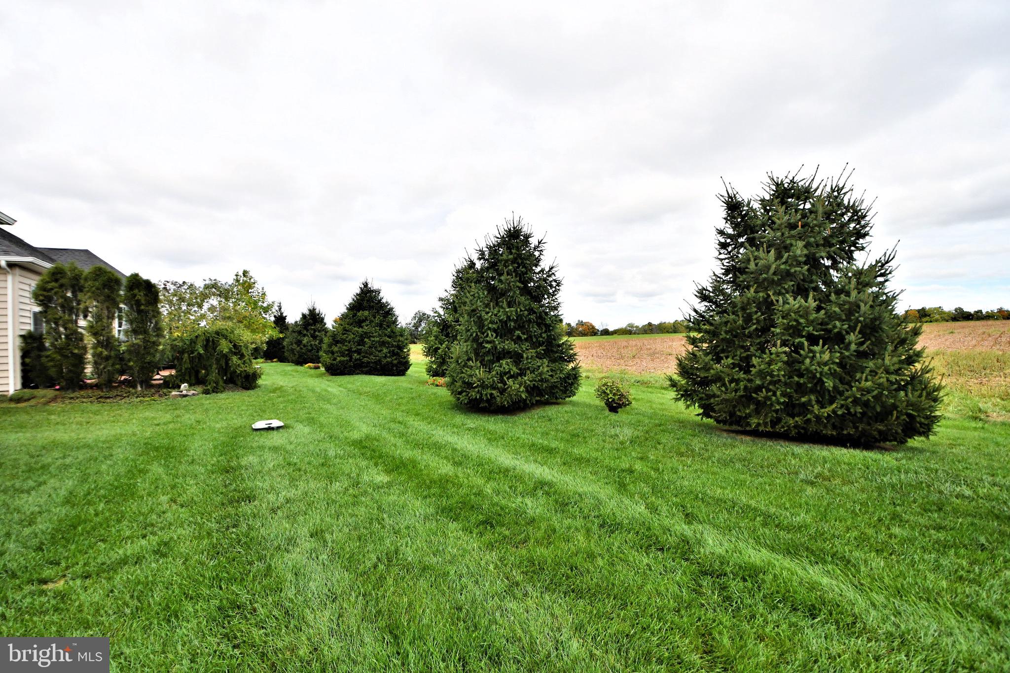 MEADOW GLEN - Residential