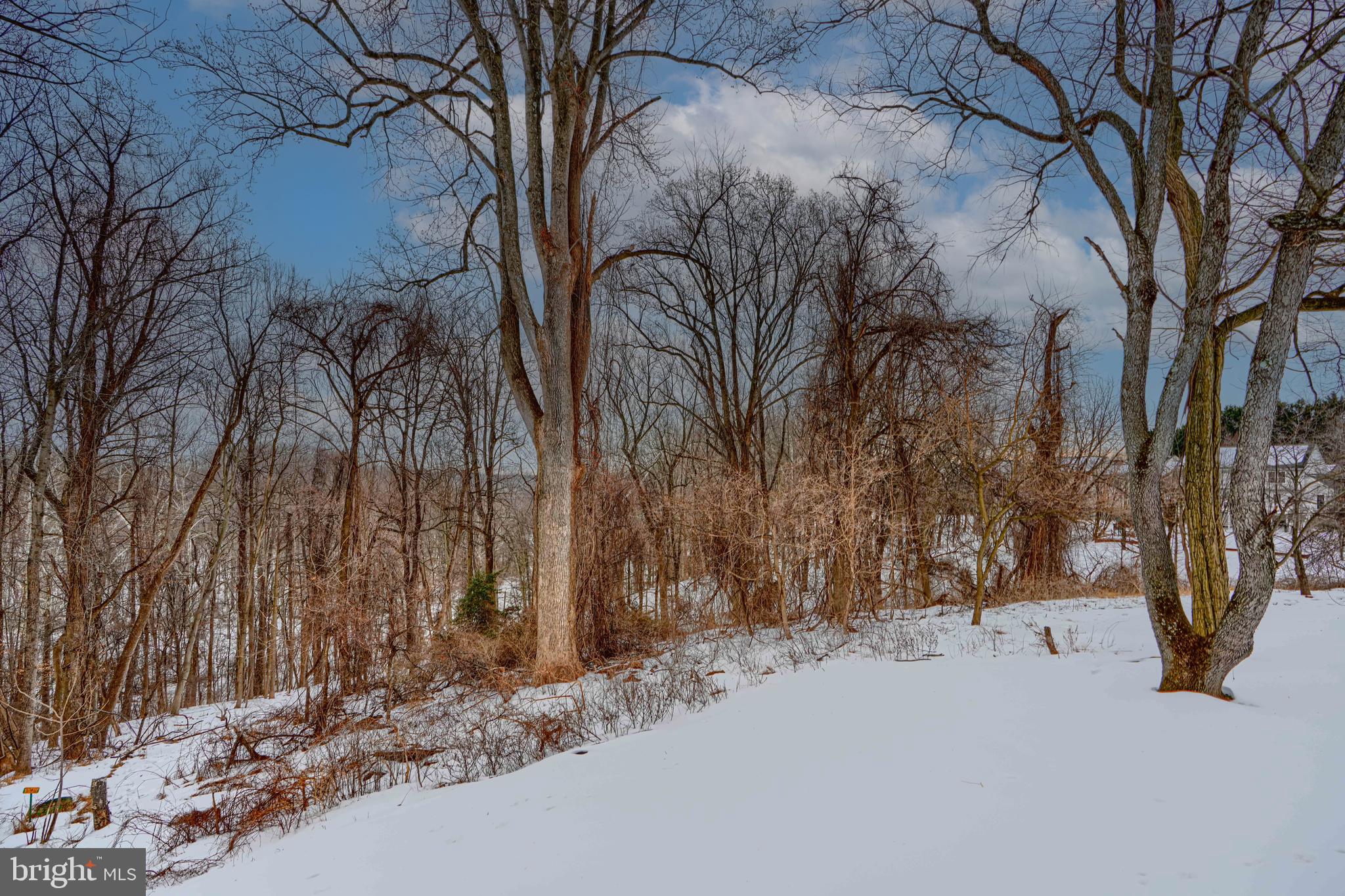 OVERVIEW MANOR - Residential